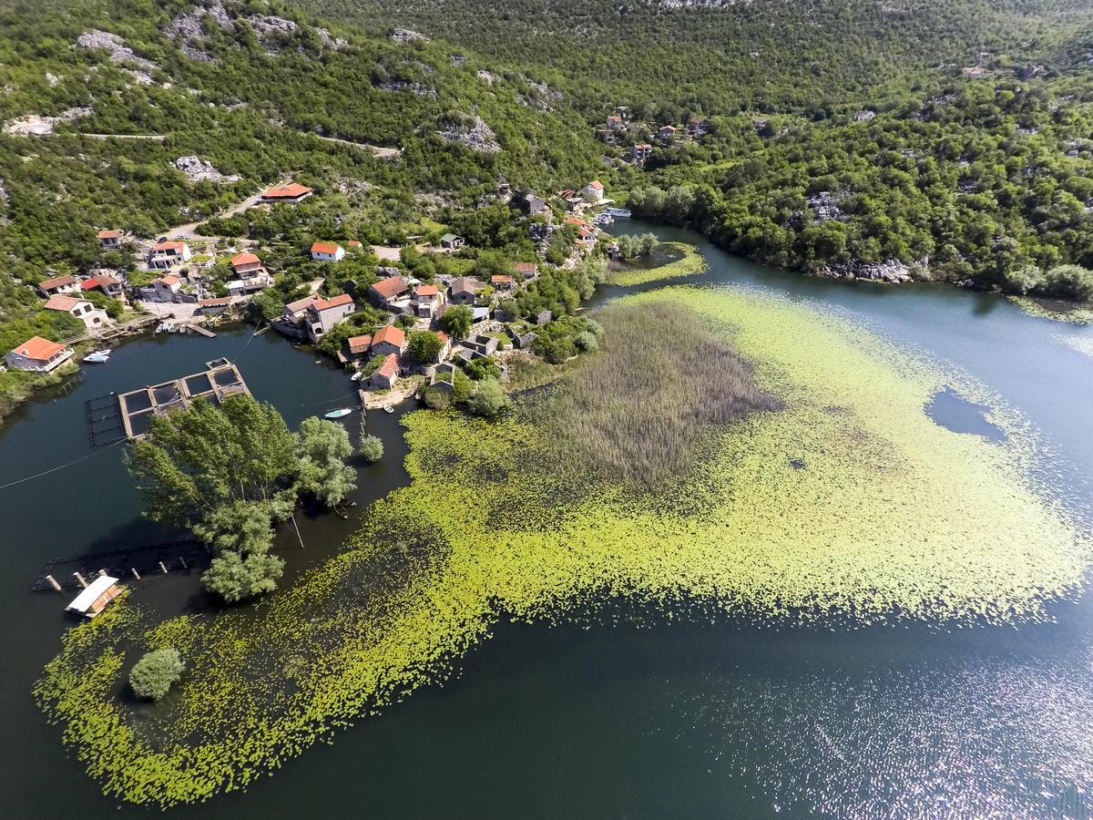 Villa Skadar Lake Karuc Exterior foto
